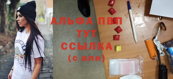твердый Надым