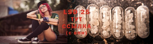твердый Надым