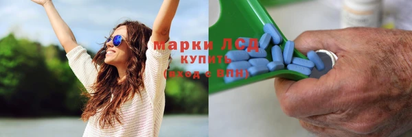 твердый Надым