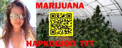стафф Заволжье