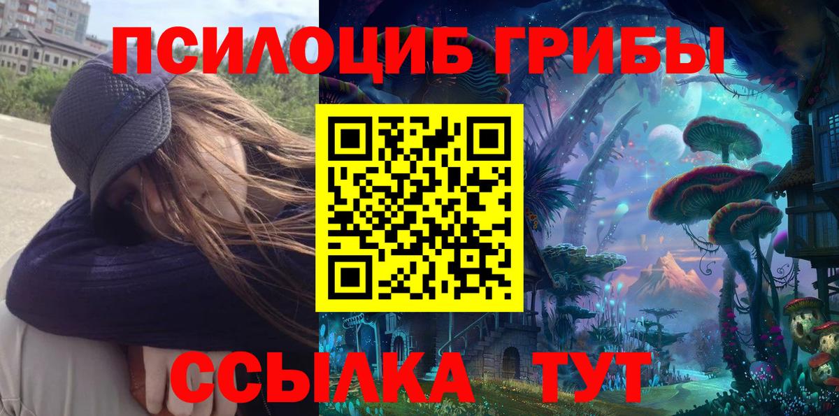 Нефтекумск  Псилоцибиновые грибы мицелий  Вход с VPN  Псилоцибиновые грибы мухоморы 