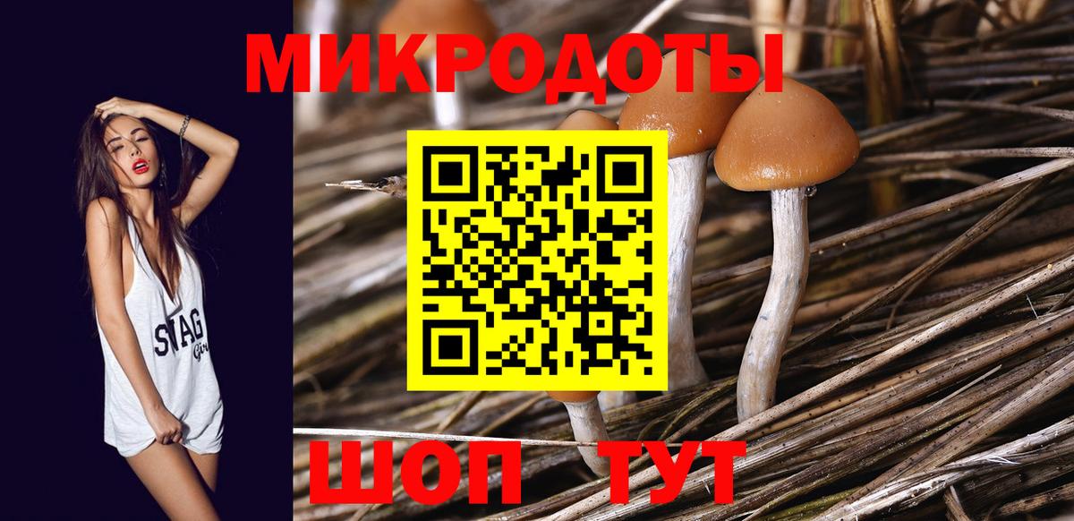 Галлюциногенные грибы Psilocybine cubensis Нефтекумск